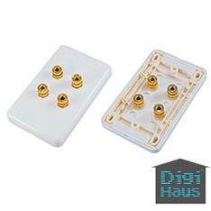 DigiHaus Home Theatre 2 Speaker wall plate